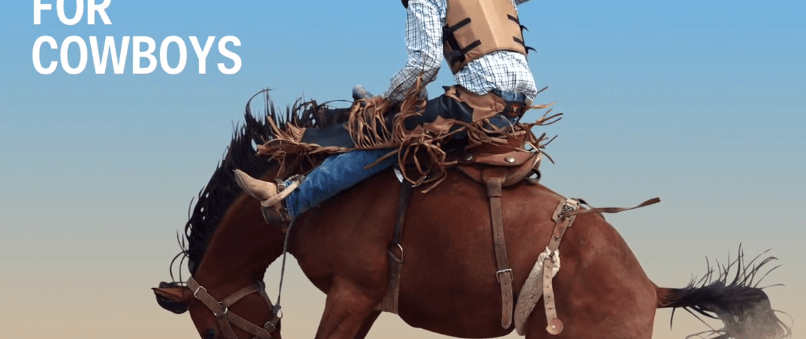 A cow boy in action