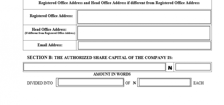 Just One CAC Form Needed to Incorporate your Business in Nigeria: See Form Sample