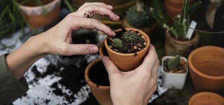 How to Turn Your Hobby into a Career