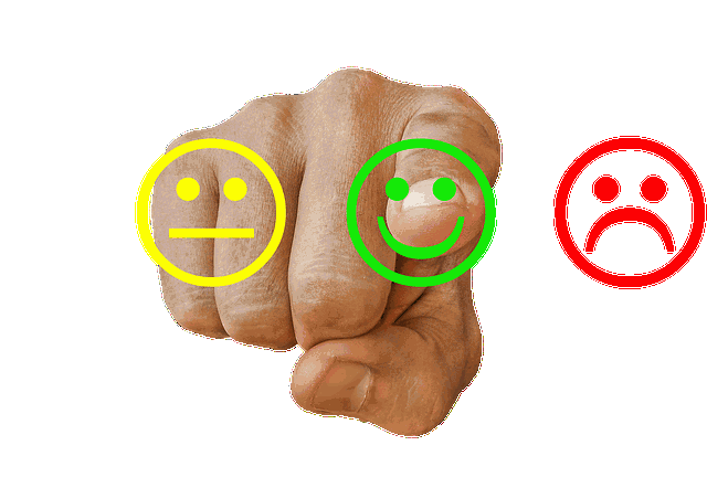 Collect feedback before launching new product
