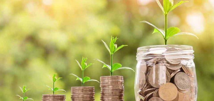 Capital and investment