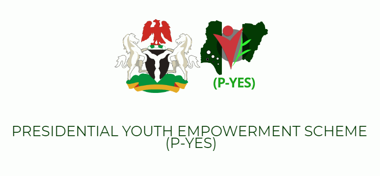 What P-YES is all About: P-YES Registration, Goals and Eligibility
