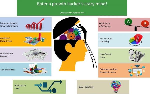 Growth Hacker Job Description