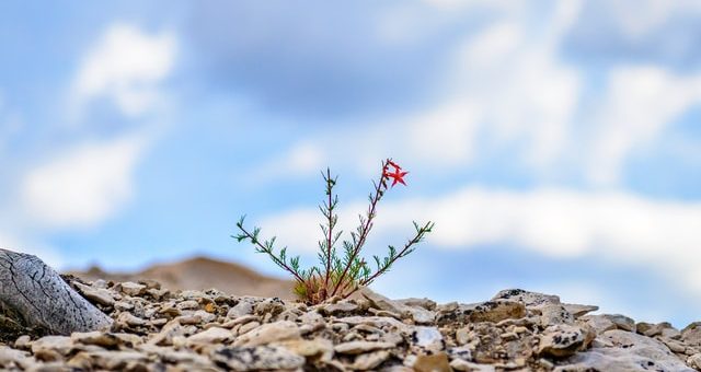 5 Tips to Grow a Business That’s Just Starting