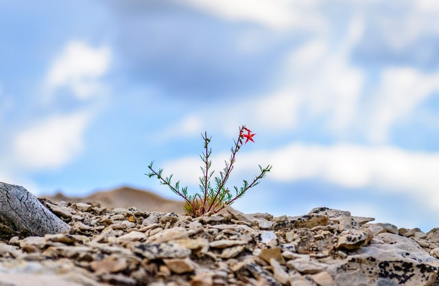 5 Tips to Grow a Business That’s Just Starting