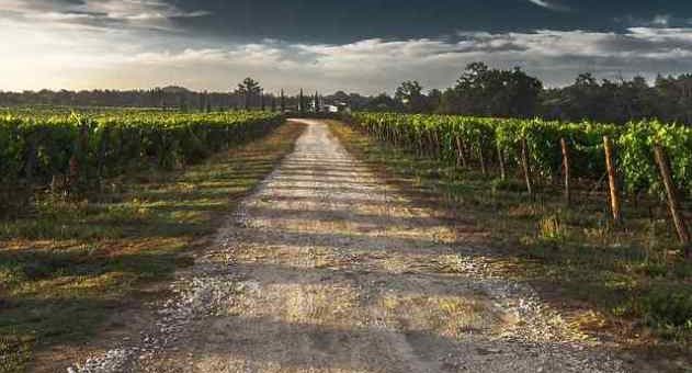 3 Ways Running a Farm can Provide an Income for You
