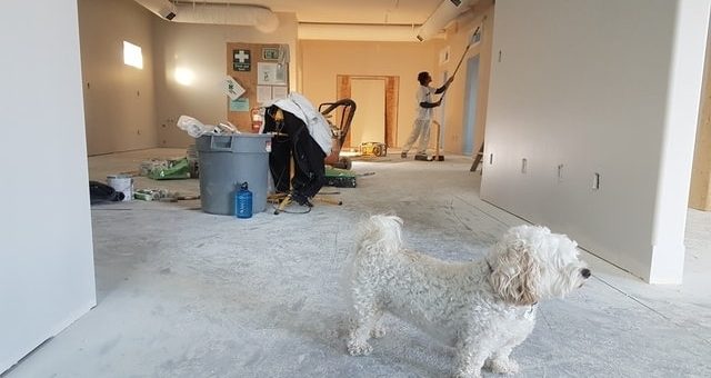 Setting A Budget, Renting Self Storage, and More: Tips for Planning a Successful Home Remodeling