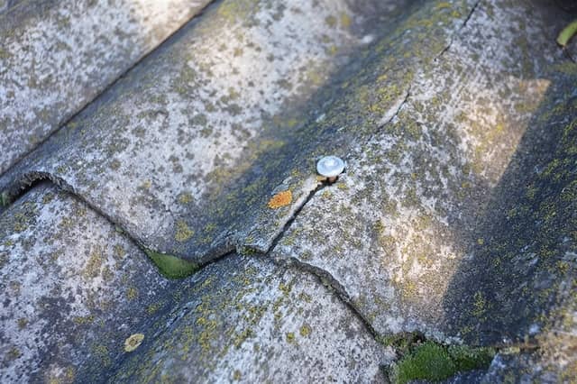 Call a Restoration Service for Asbestos Removal