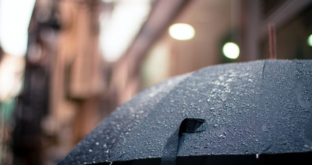 Why You Must Get Insurance for your Small Business