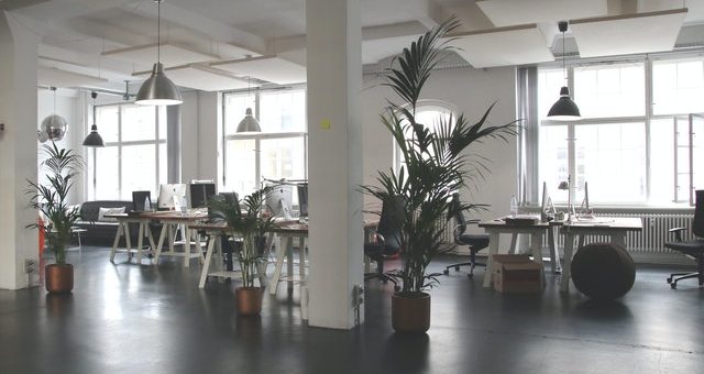 How to Make Your Rented Office Space a Joy to Work In