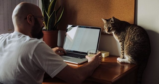 Invaluable Tips for Hiring Team Members from Around the World