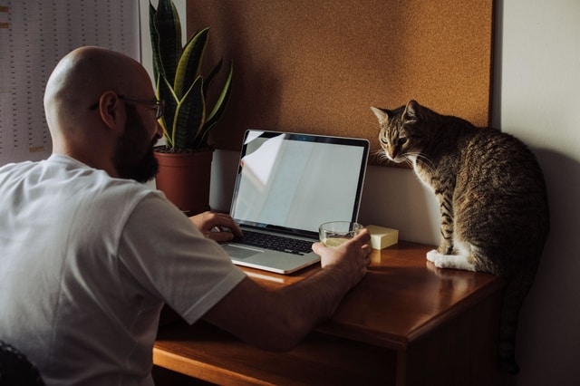 Invaluable Tips for Hiring Team Members from Around the World