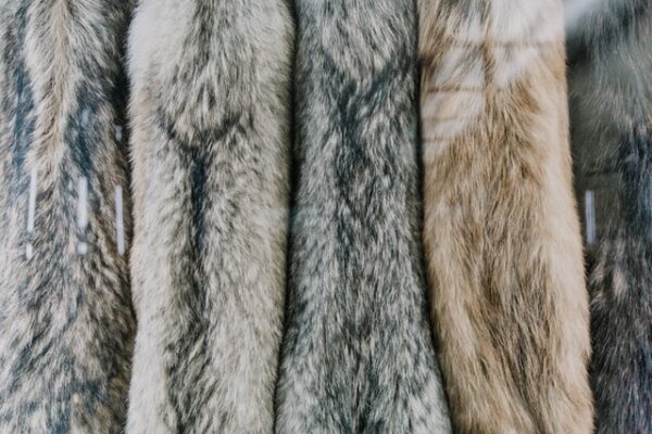 Ways To Luxe Up Your Faux Fur Throw Blanket