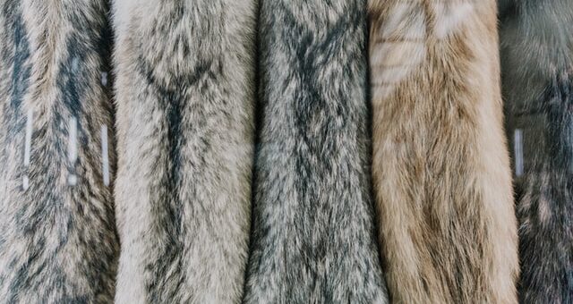 Ways To Luxe Up Your Faux Fur Throw Blanket