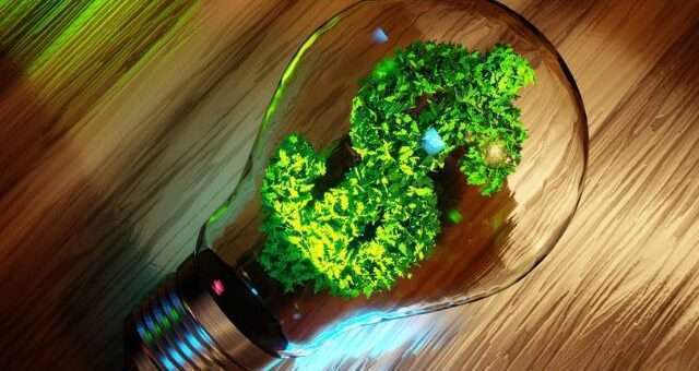 Eco-Friendly Ways To Manage Your Finances