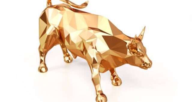 crypto bull run