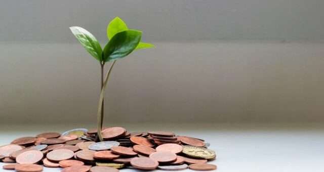 investment