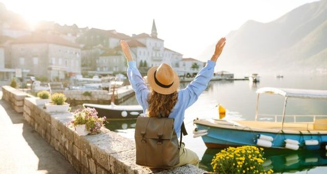 Traveler