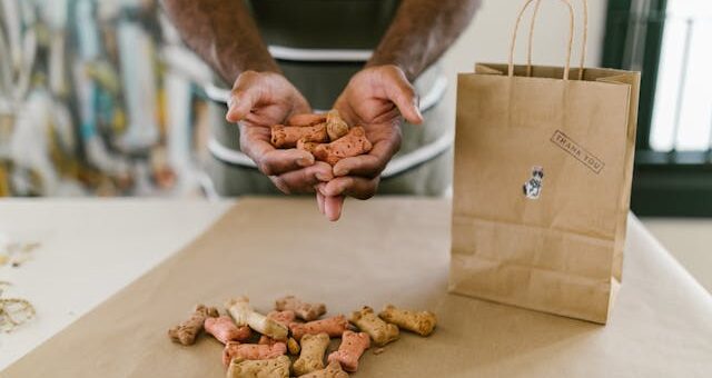 dog treat